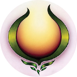 bentabou mockups m-15