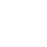 chiropractic icon-01